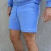 Series Shorts - Light Blue