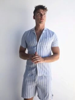 Assisi Stripe Shirt - Blue -Blakely 2290Blue 05LEADD