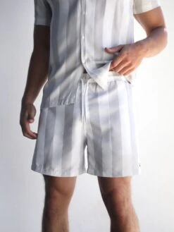 Riccardo Swim Shorts - Stone -Blakely 2807Stone 03D