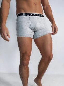 B2 | Boxers - Grey 3 Pack -Blakely 976 6GreyBoxers5D 8c8d3aa0 f85f 4a12 a4e1 4494356dbd5d